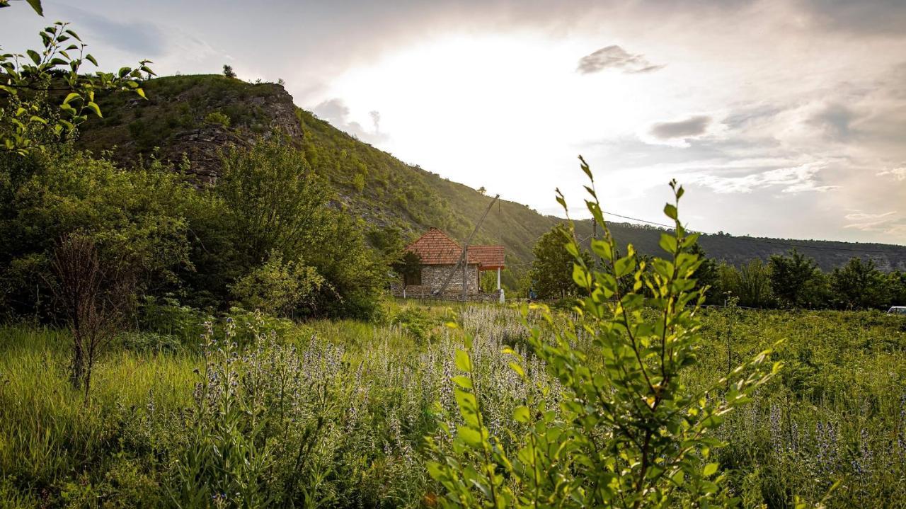 Casa Agricultorului Varzari Butuceny Exterior photo