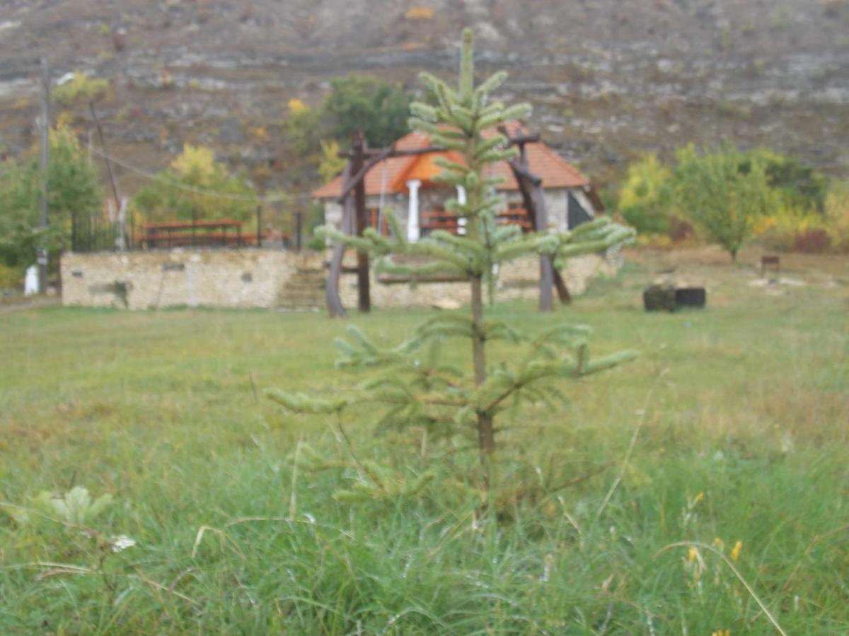 Casa Agricultorului Varzari Butuceny Exterior photo